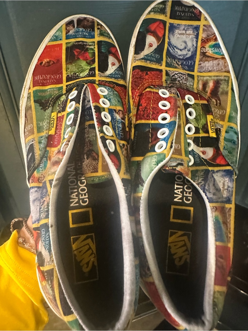 National Geographic Kids Multicolor Patchwork Canvas Sneakers